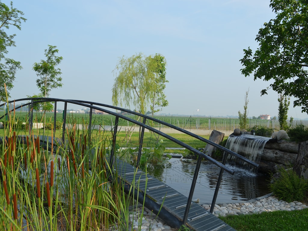 Bild 18