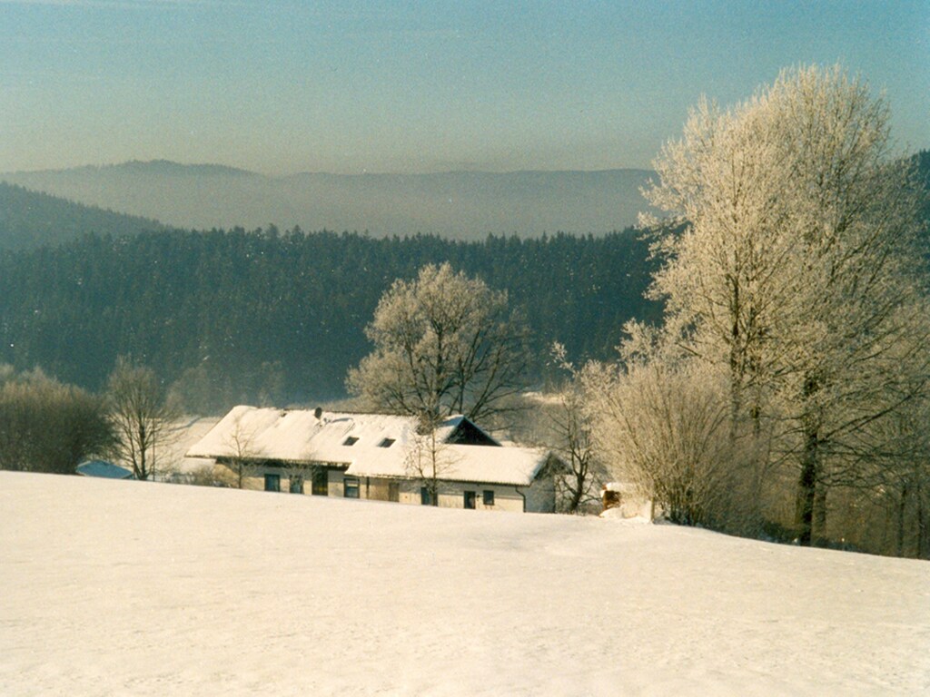 Bild 4 Bild 4