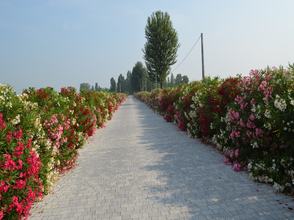 Bild 21