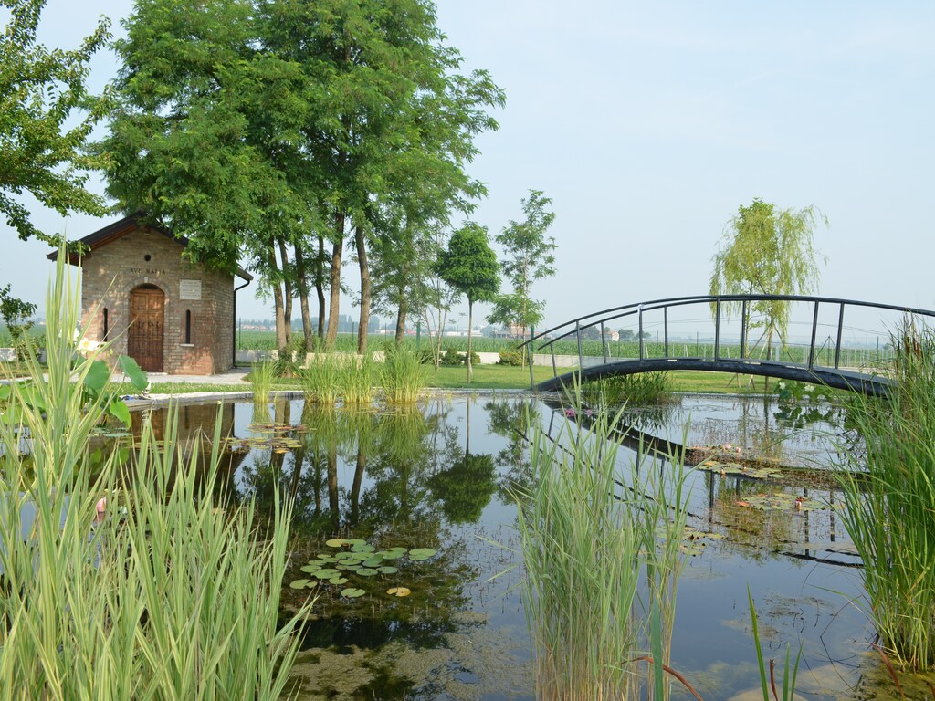 Bild 17