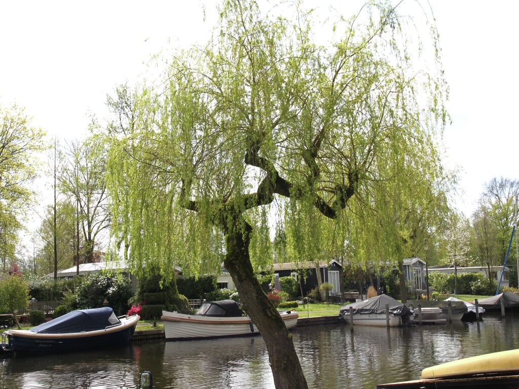 Bild 20 Bild 20