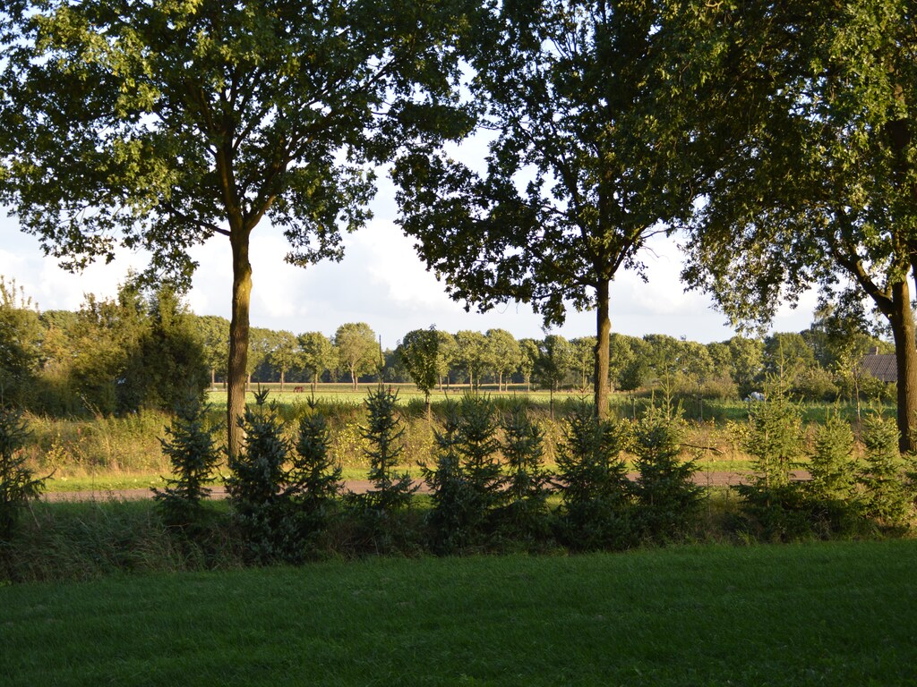 Bild 35