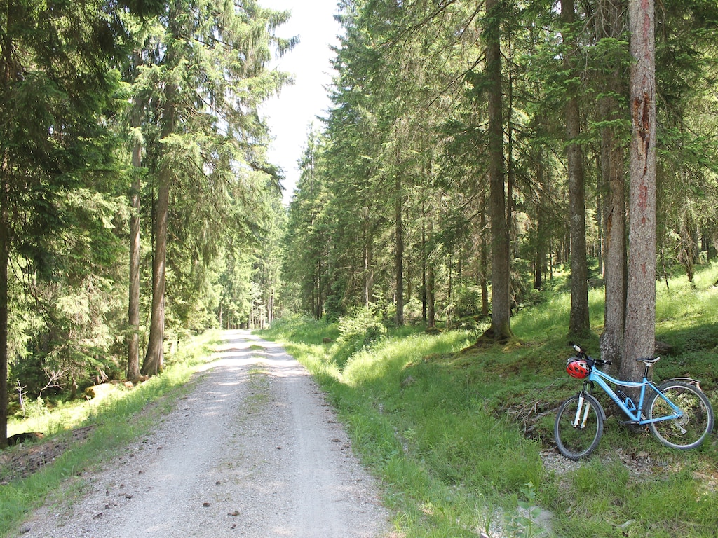Bild 3 Bild 3