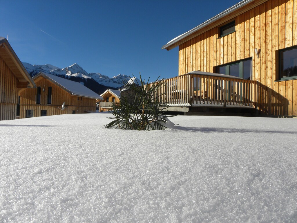 Bild 4 Bild 4