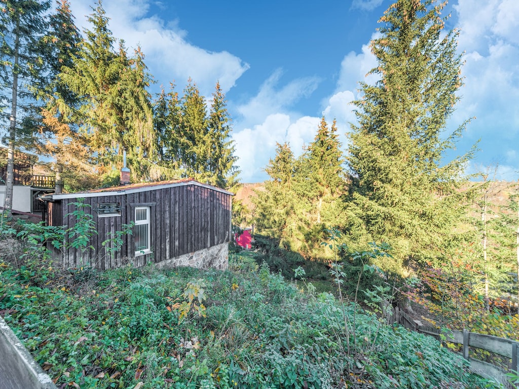 Bild 19