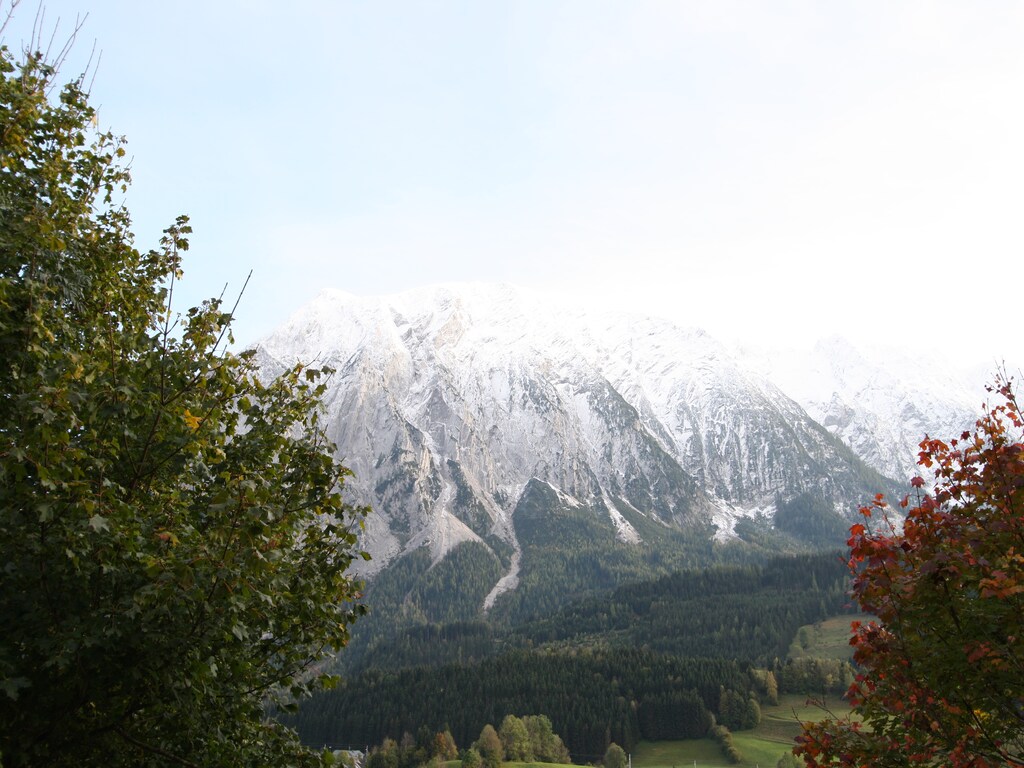 Bild 22 Bild 22