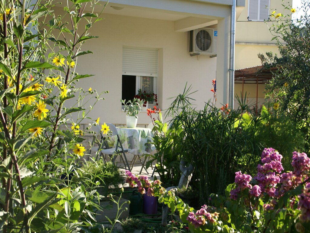Bild 7 Bild 7