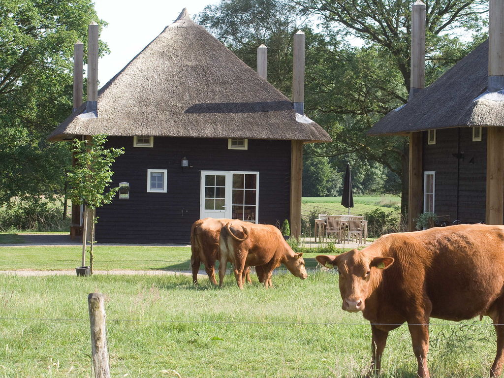 Besonderer Bioferienbauernhof mit schönen, luxuriösen Unterkünften inmitten von herumlaufenden Kühen. Die Umgebung von Twente, die reich an Natur ist, eignet sich für schöne Wander- und Fahrradt..
