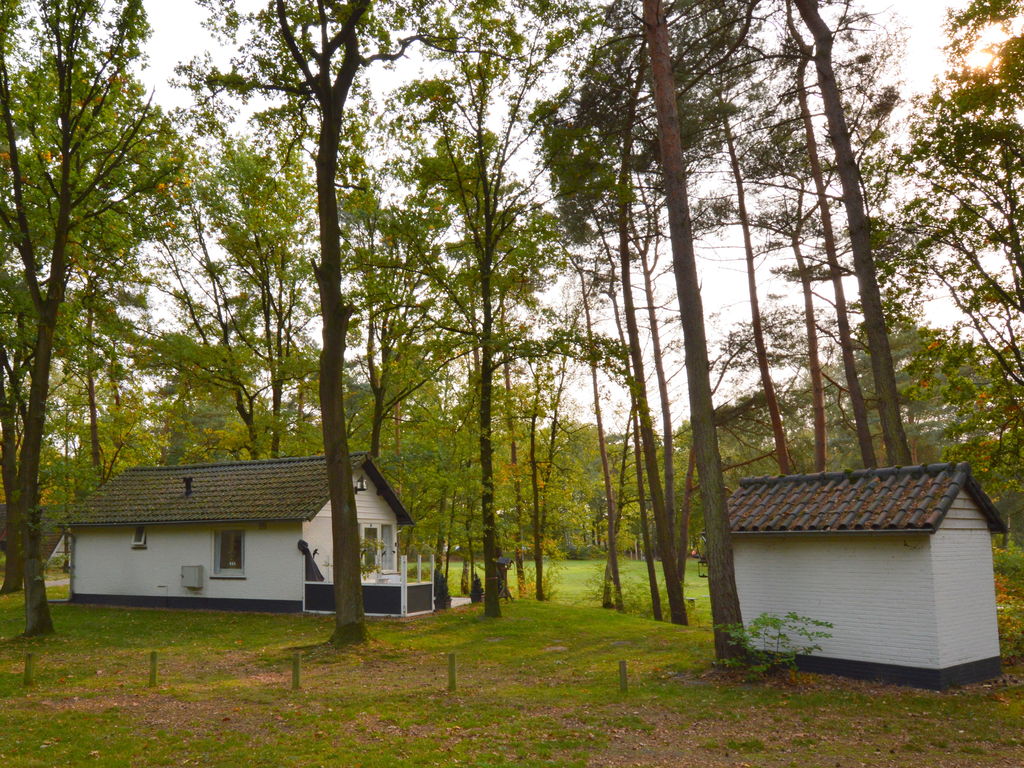 Abgeschiedene Ferienwohnung in Limburg, in dichtem Wald