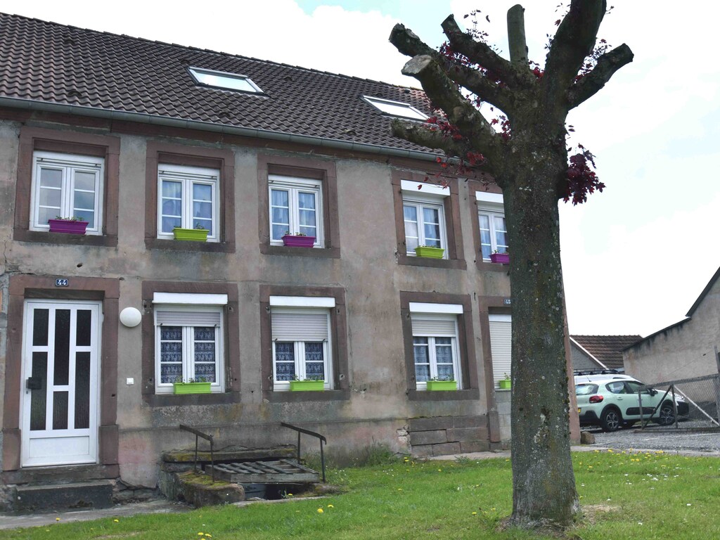 Bild 7 Bild 7