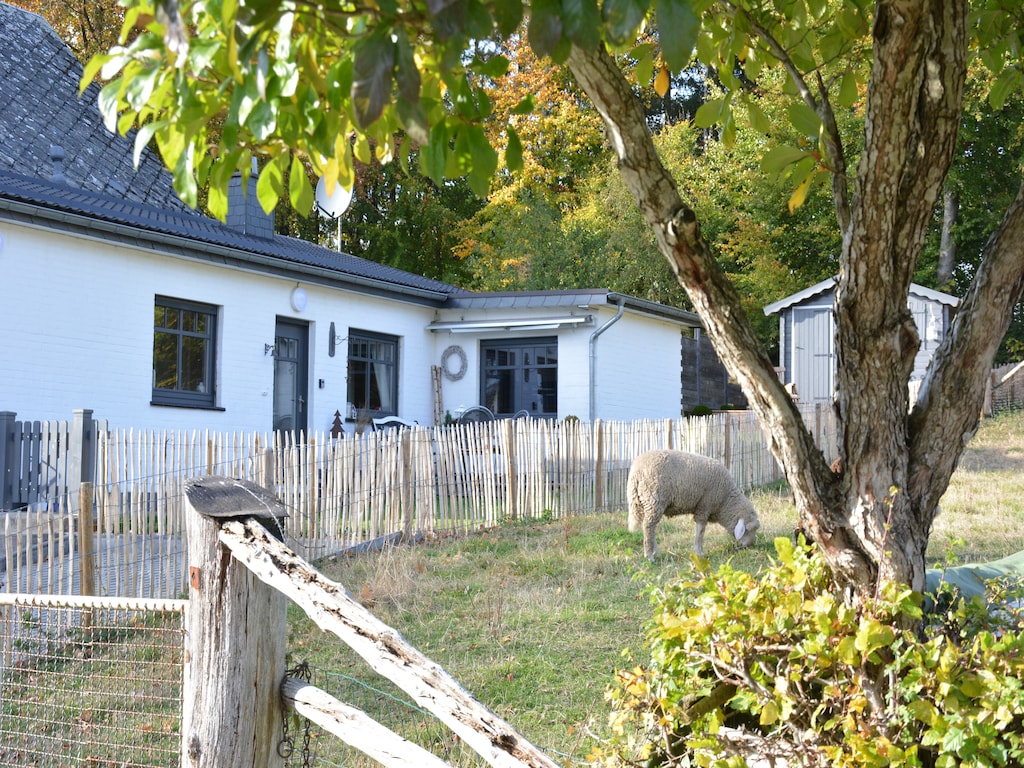 Bild 1 Bild 1