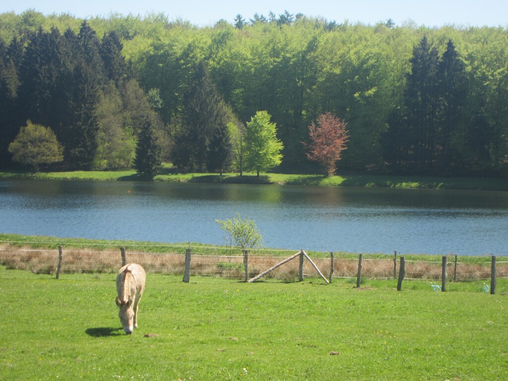 Bild 32 Bild 32