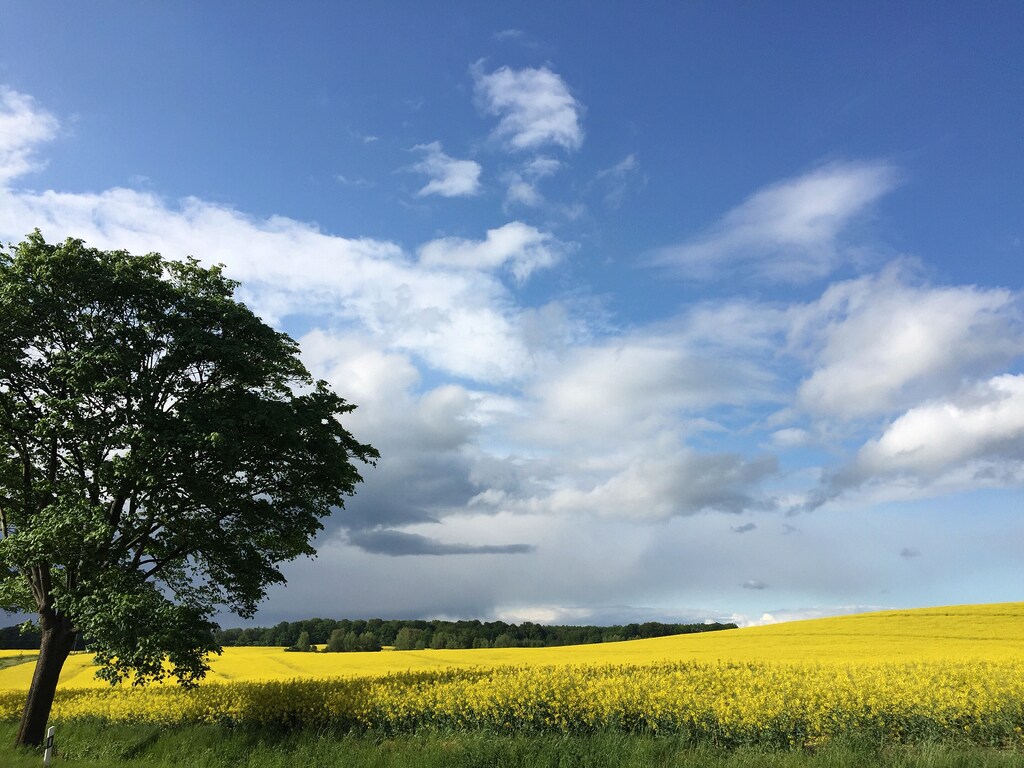 Bild 19