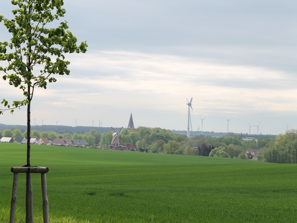 Bild 19 Bild 19