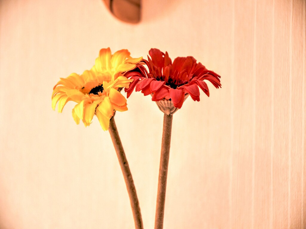 Bild 24