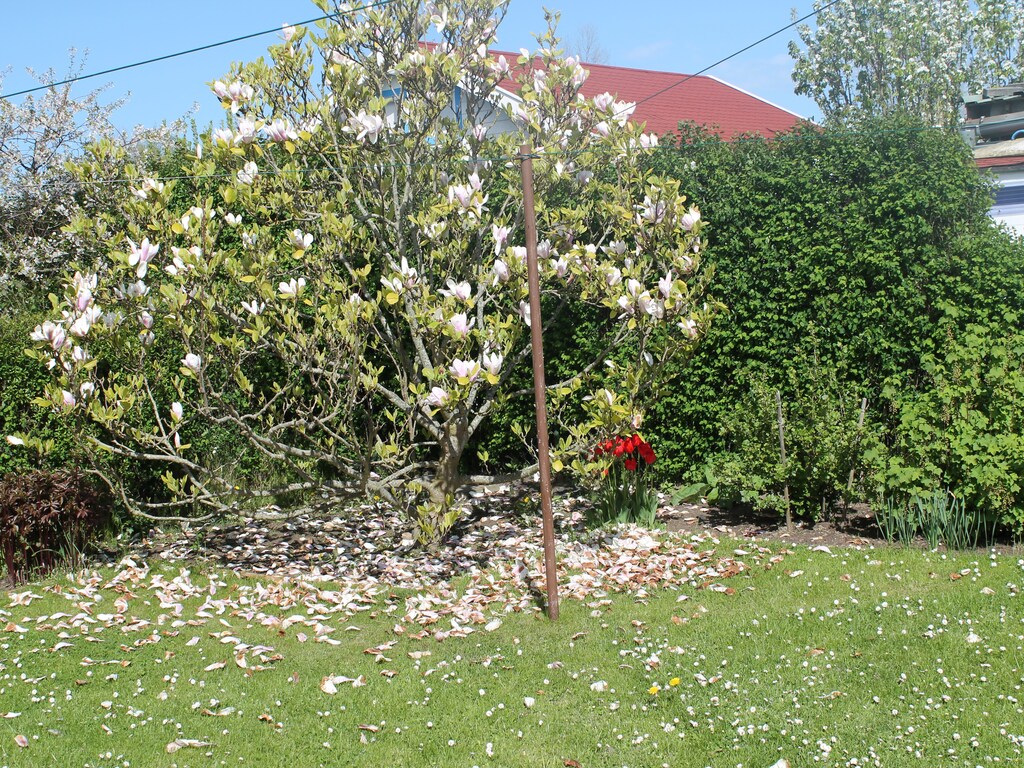 Bild 15 Bild 15