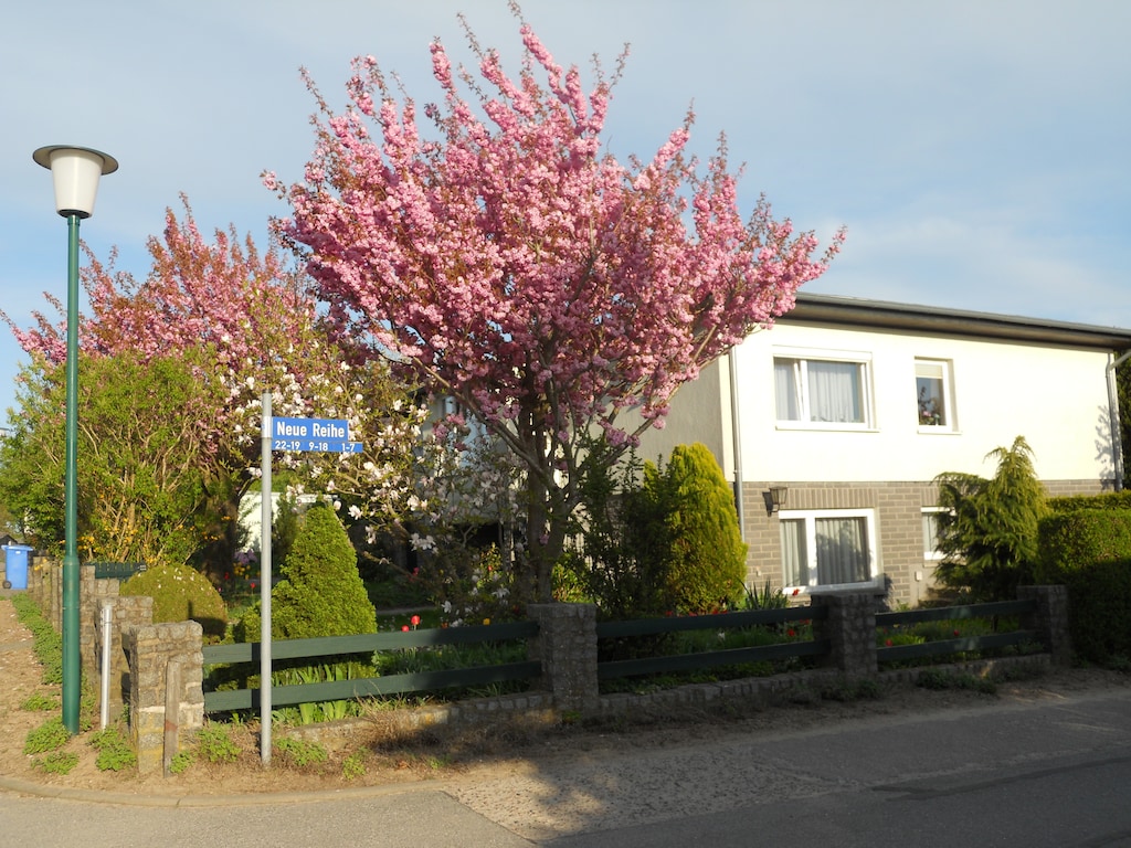 Mooi appartement in Krצpelin vlakbij de zee