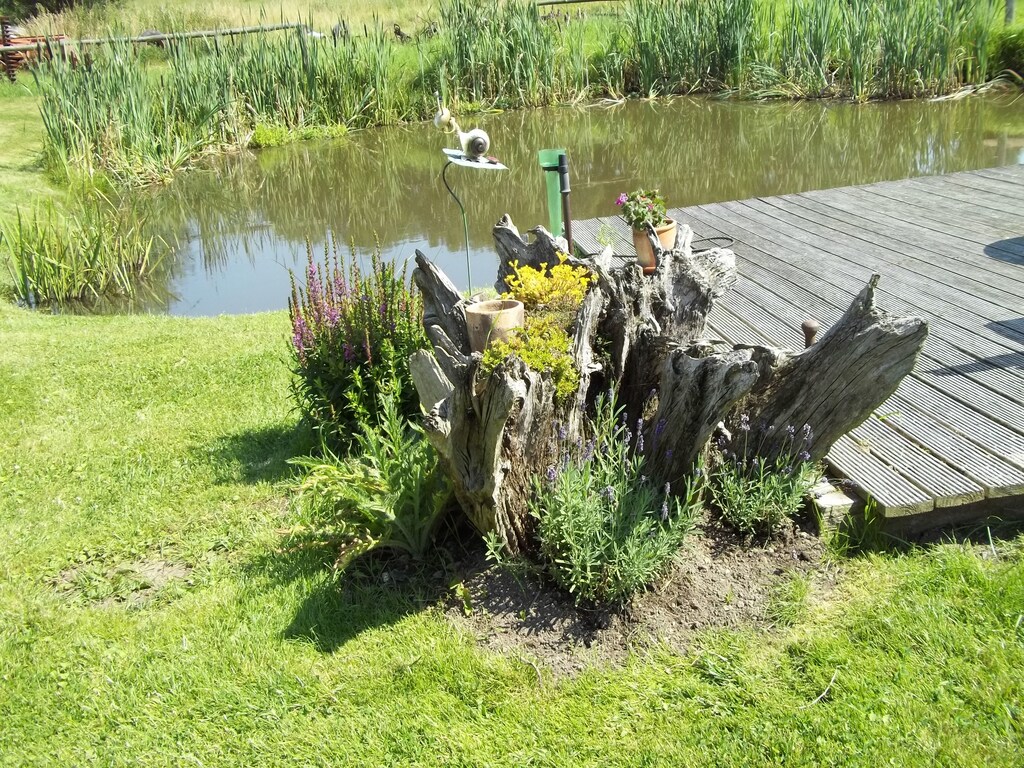 Bild 12 Bild 12