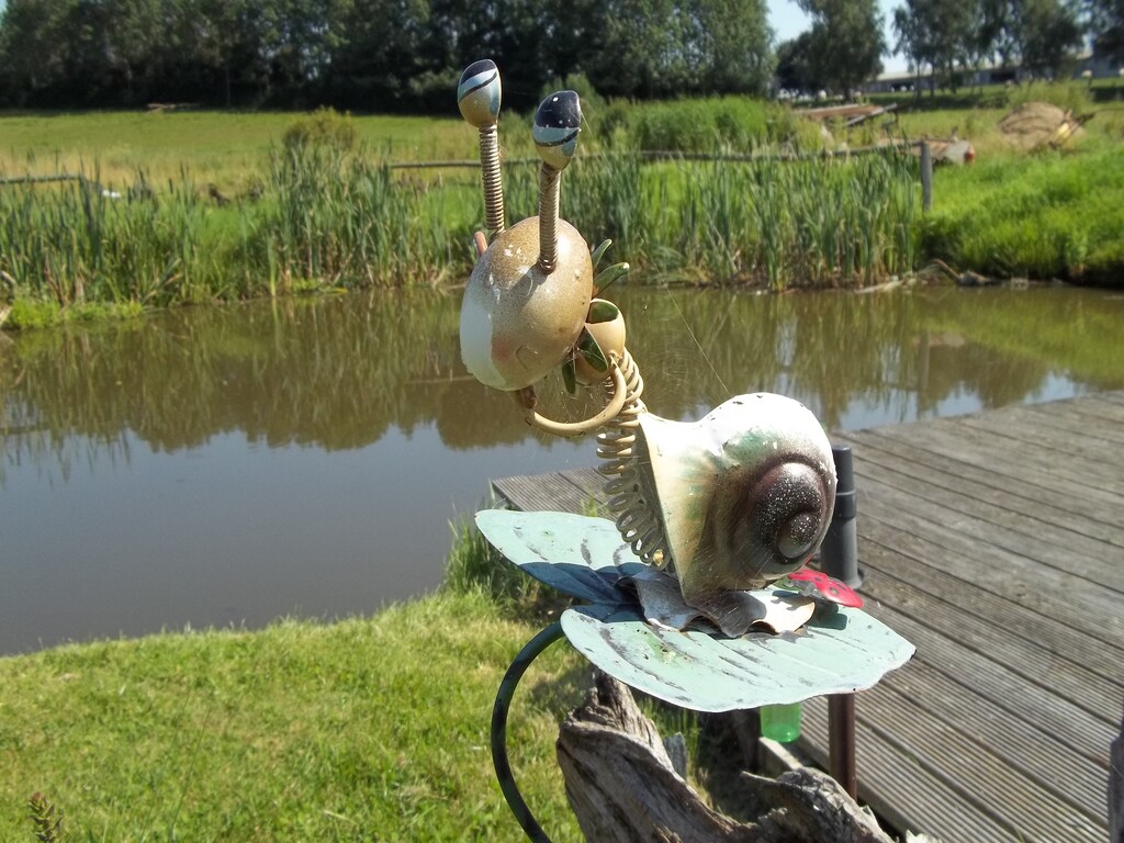 Bild 15 Bild 15