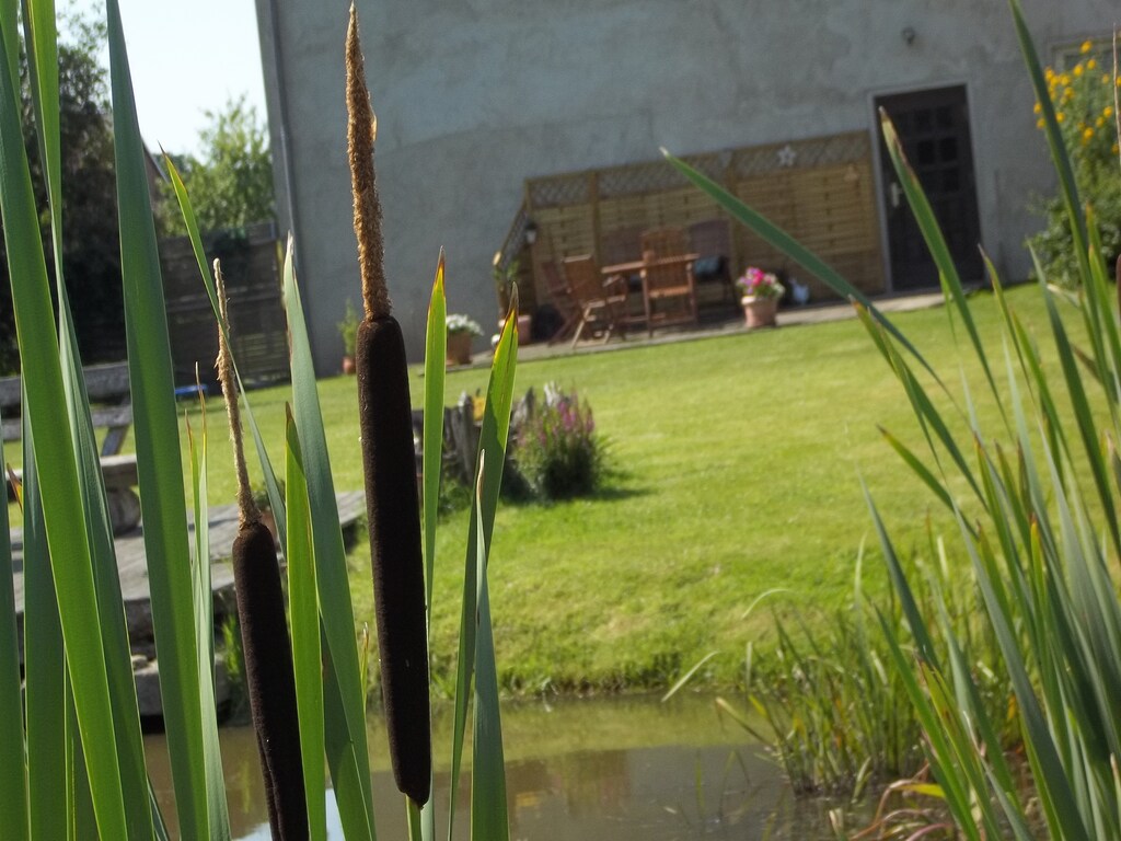 Bild 5 Bild 5