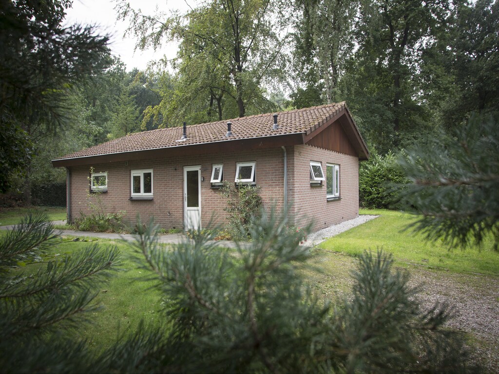 Bild 1 Bild 1