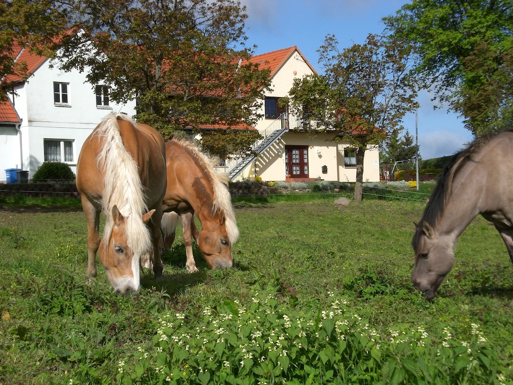 Bild 31 Bild 31