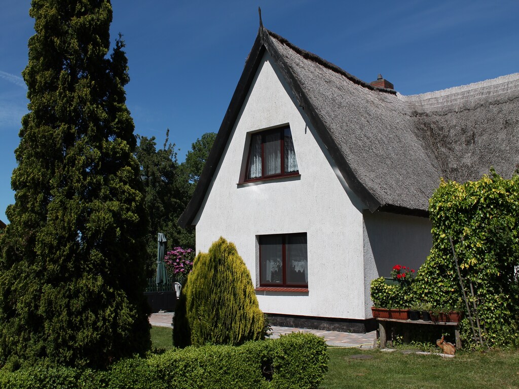 Bild 14 Bild 14