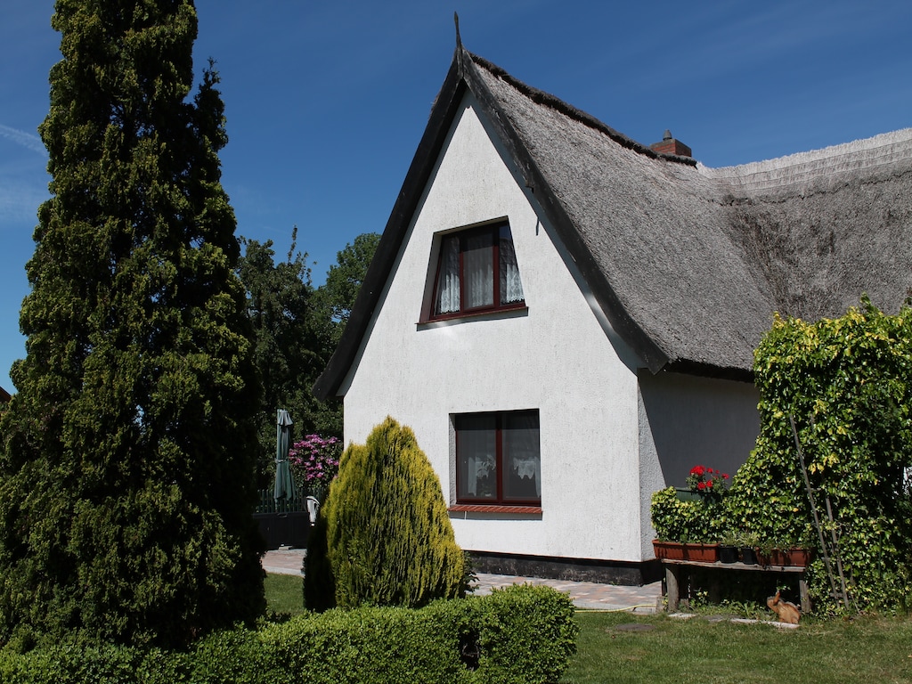 Bild 7 Bild 7