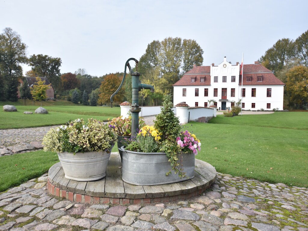 Bild 1 Bild 1