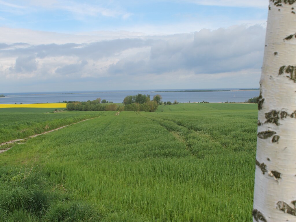 Bild 16 Bild 16