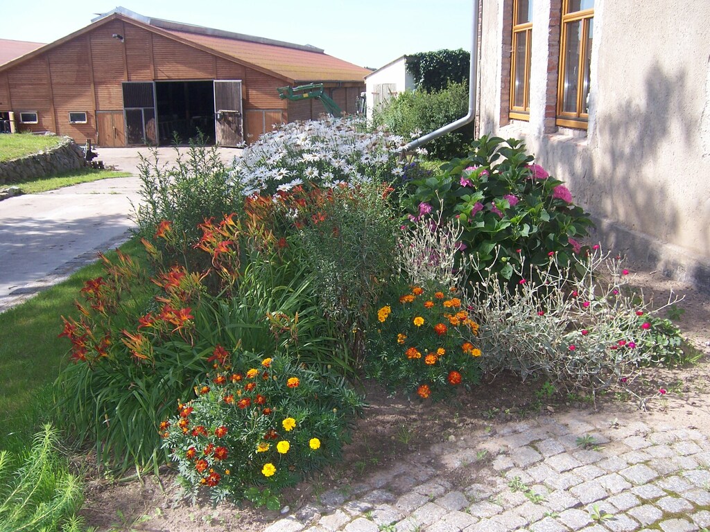 Bild 2 Bild 2