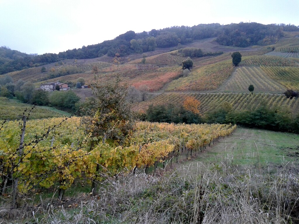 Bild 24