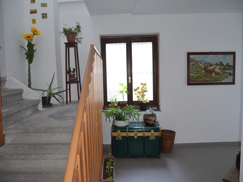 Bild 5 Bild 5