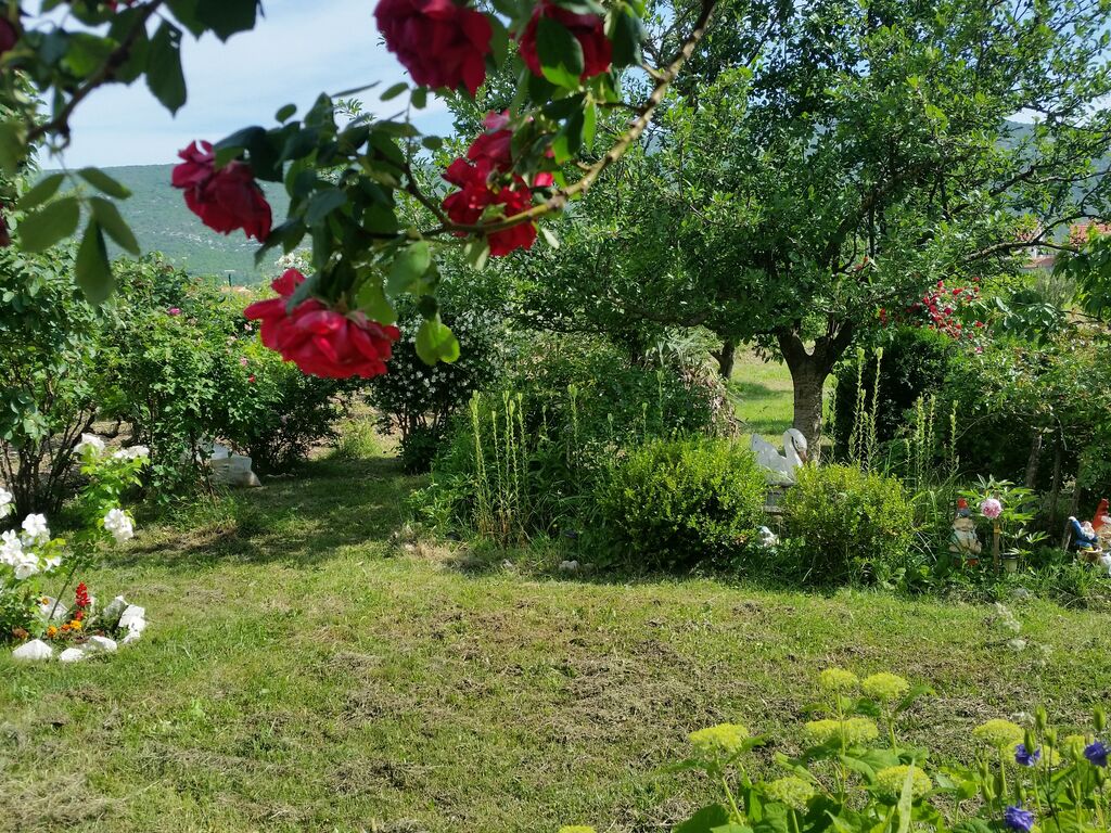 Maison de vacances Villa Silvana (2351597), Neoric, , Dalmatie, Croatie, image 55
