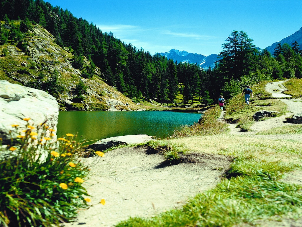 Ferienhaus Chalet Albert (2303936), Thyon-Les Collons, 4 Vallées, Wallis, Schweiz, Bild 19