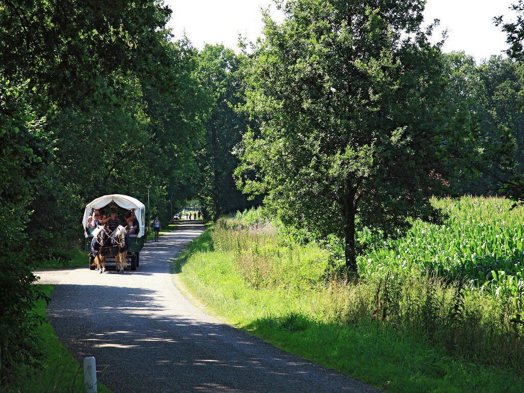 Bild 23 Bild 23