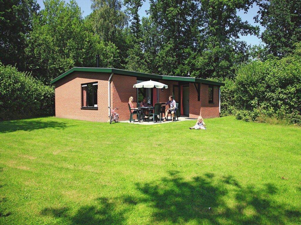 Bild 1 Bild 1