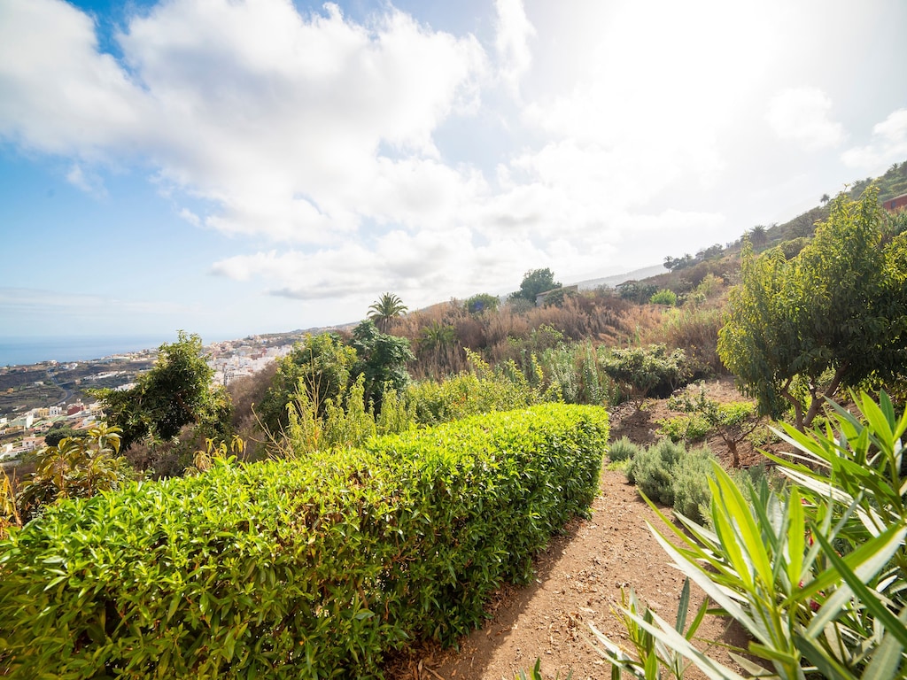Ferienhaus La Bodega (2373009), Icod de los Vinos, Teneriffa, Kanarische Inseln, Spanien, Bild 20