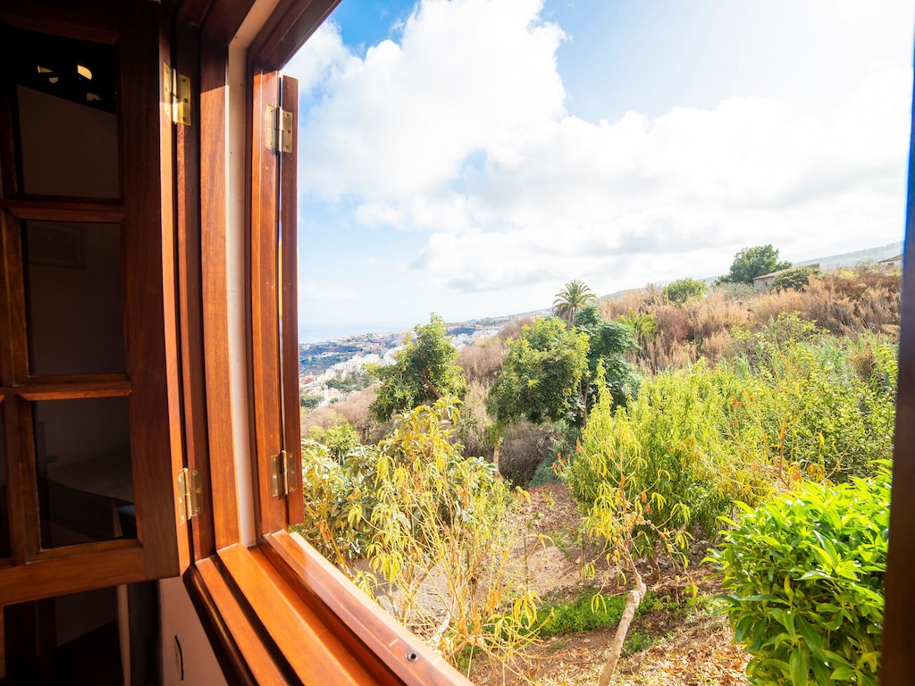 Ferienhaus La Bodega (2373009), Icod de los Vinos, Teneriffa, Kanarische Inseln, Spanien, Bild 23