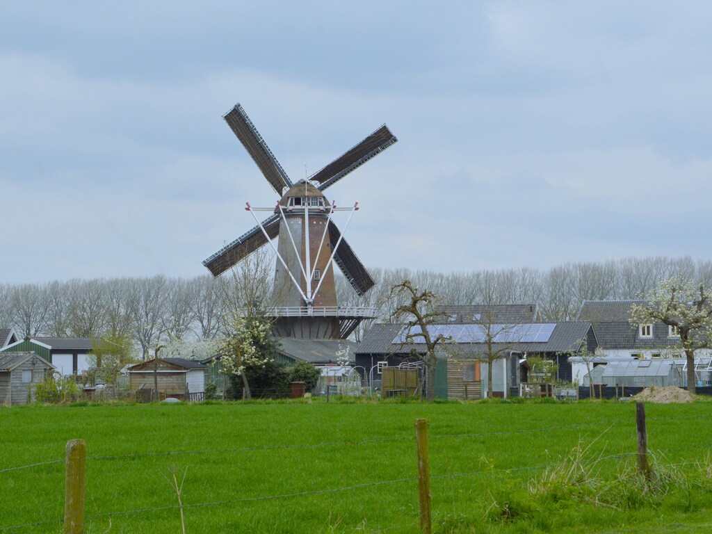 Bild 36 Bild 36