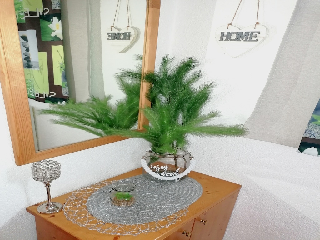Bild 31