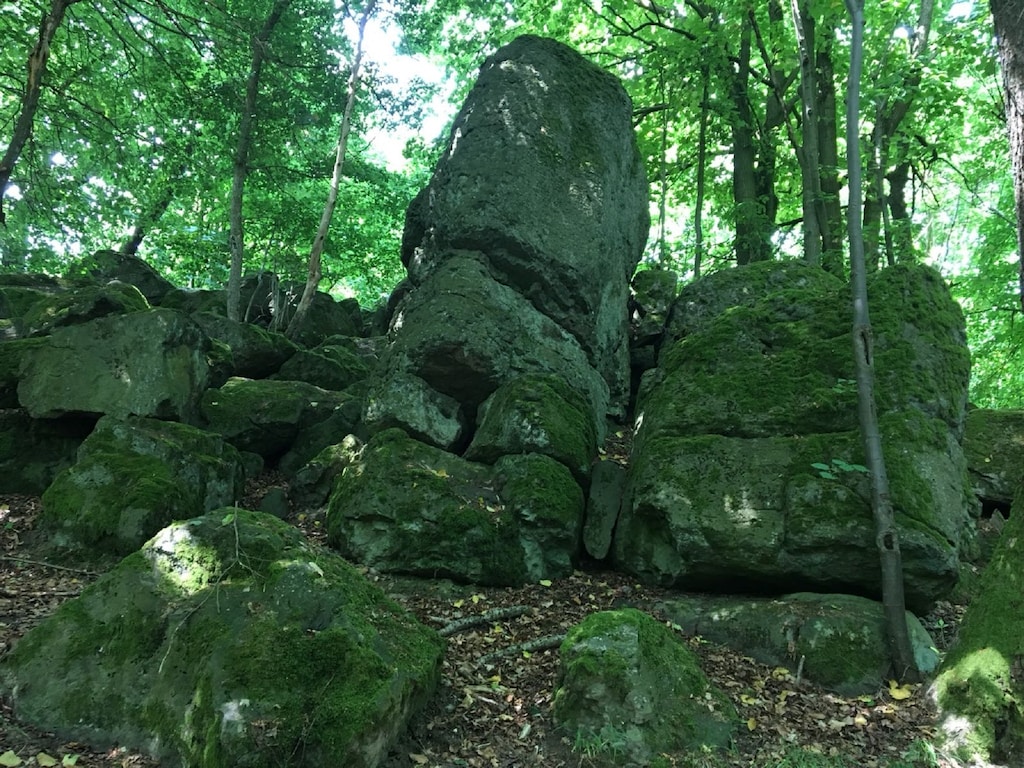 Bild 15 Bild 15