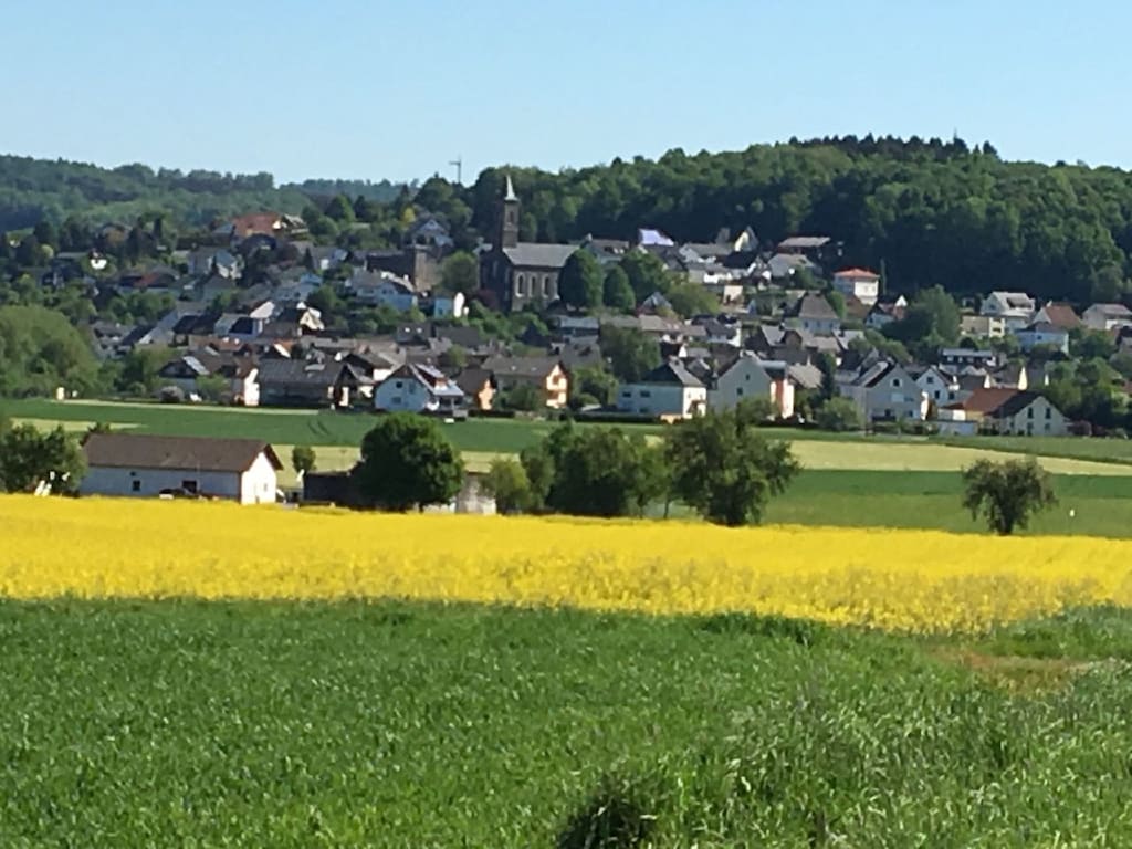 Bild 13 Bild 13