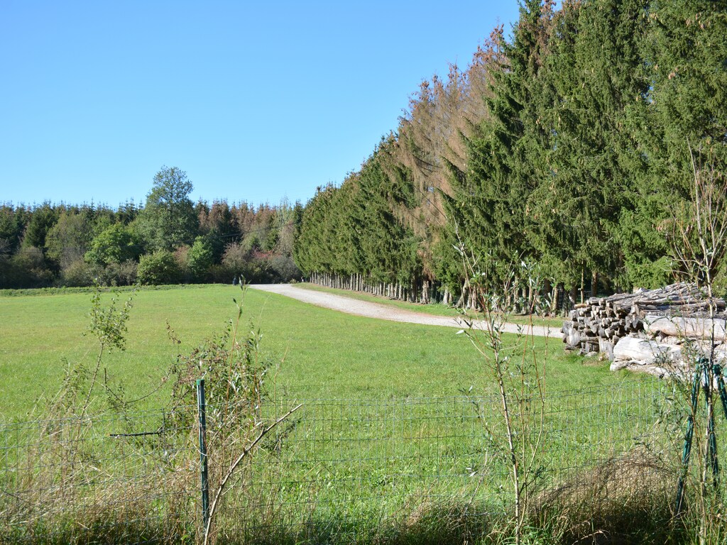 Bild 2 Bild 2