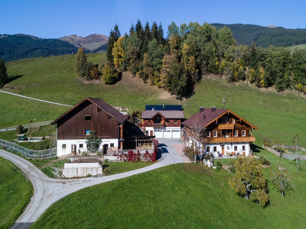 Bild 4 Bild 4