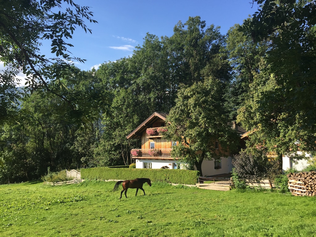 Bild 16 Bild 16