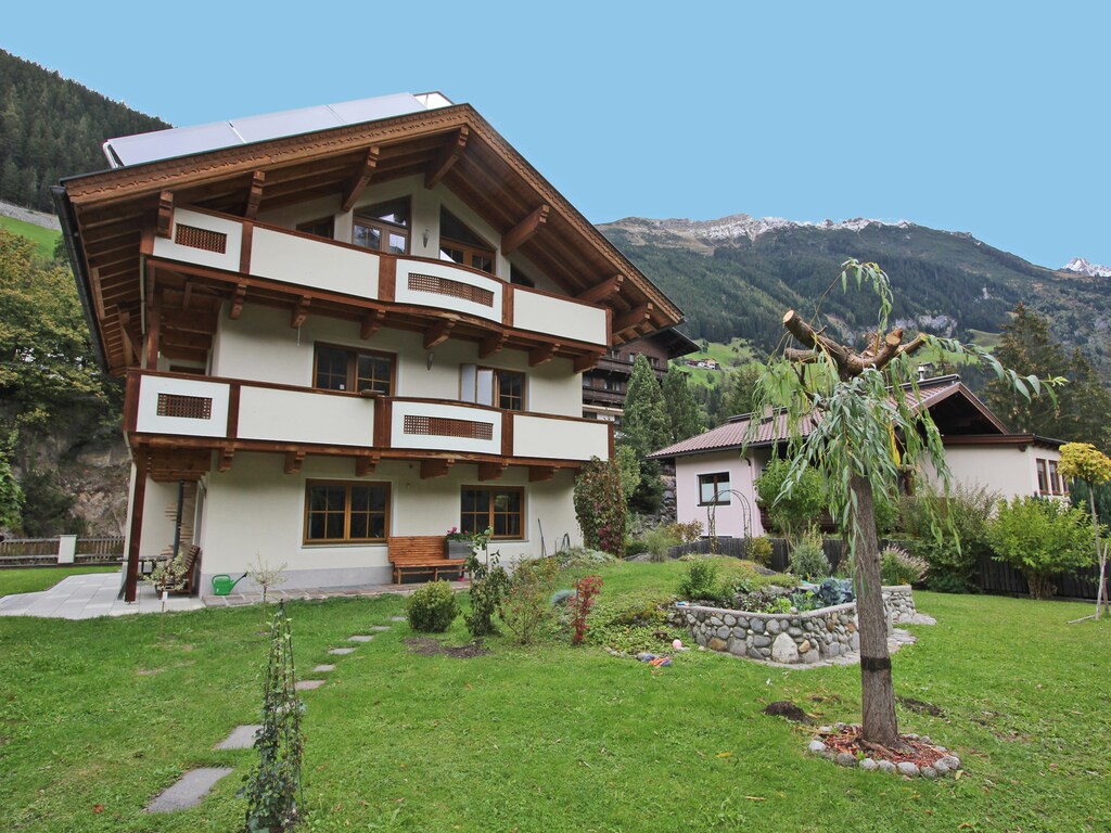 Bild 5