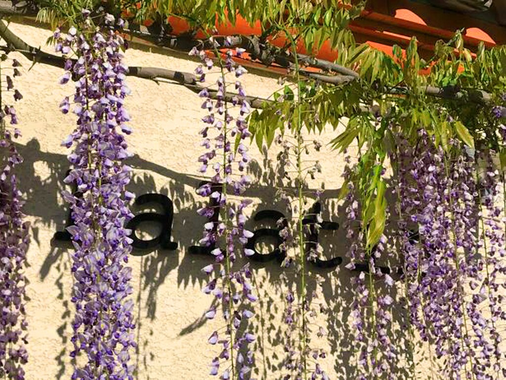 Bild 36 Bild 36
