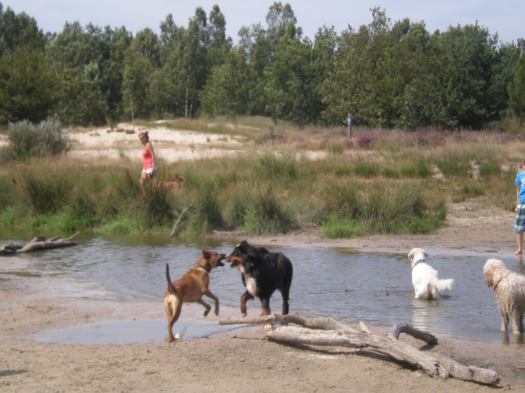 Bild 18 Bild 18
