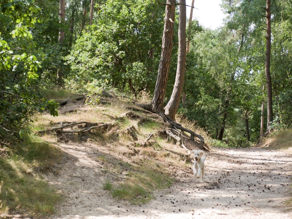 Bild 20 Bild 20